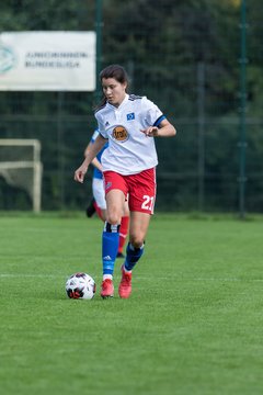 Bild 281 - wBJ Hamburger SV - Holstein Kiel : Ergebnis: 2:0